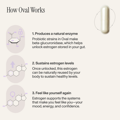 Estrogen Support Probiotic
